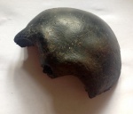 Лобная кость черепа Homo (голоцен. Раннее средневековье)