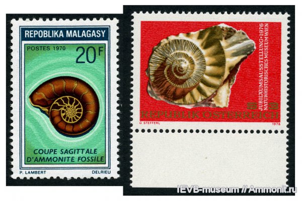 аммониты, Ammonites, рисунки, марки