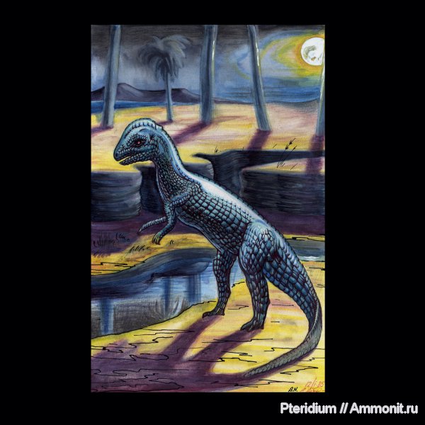 динозавры, мел, реконструкция, Stegoceros validus, Cretaceous