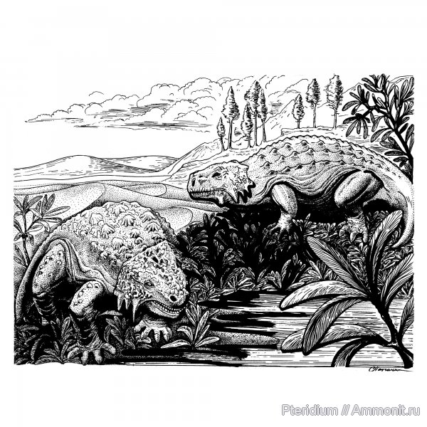 пермь, парейазавры, Scutosaurus karpinskii, Scutosaurus, Pursongia, Pareiasauridae, Permian
