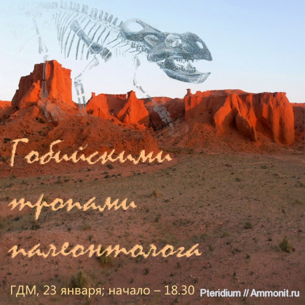 динозавры, мел, Монголия, цератопсы, протоцератопсы, горы Байн-Дзак, пустыня Гоби, Cretaceous