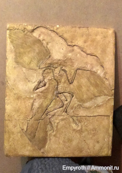 юра, Германия, палеоарт, Archaeopteryx, paleoart, Archaeopteryx lithographica, Jurassic