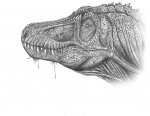 Голова  тарбозавра (Tarbosaurus  bataar )