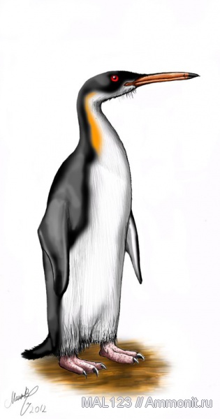 пингвины, Kairuku grebneffi, Kairuku
