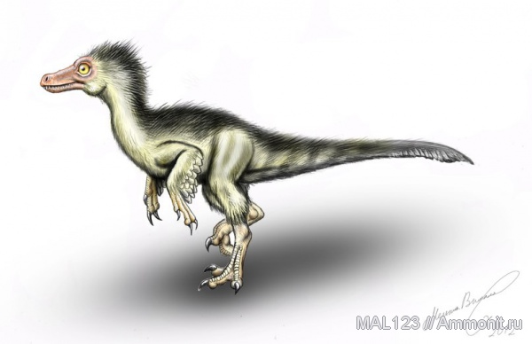 динозавры, Монголия, дромеозавры, Velociraptor, велоцирапторы