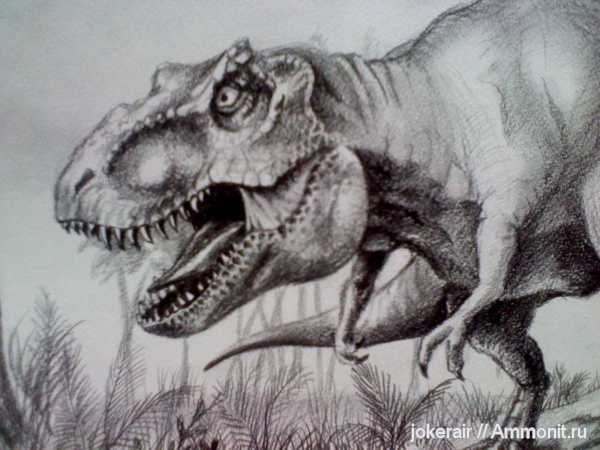 рептилии, мел, меловой период, тираннозавры, мезозойская эра, Tyrannosaurus, Tyrannosauridae, Cretaceous