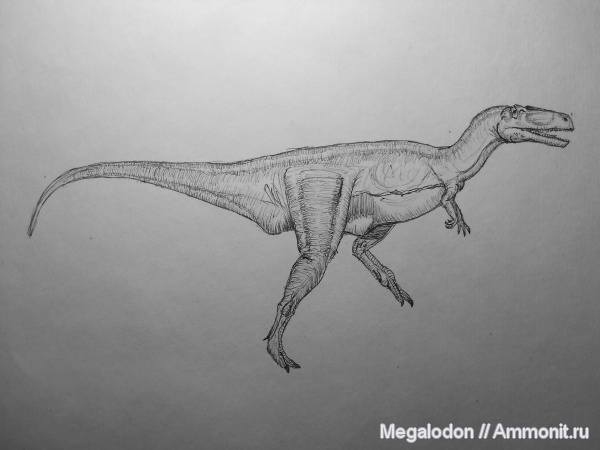 рептилии, динозавры, мел, реконструкции, рисунки, giganotosaurus, Giganotosaurus carolinii, Cretaceous