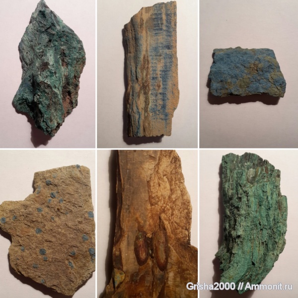 окаменелости, древесина, находки, Каргалинские рудники, замещение