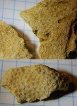 кораллы из келловея Гжели