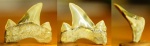 Зуб акулы Otodus cf. minor