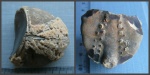 Фрагмент ядра морского ежа  Echinocorys ex gr. scutata (?) с остатками панциря.