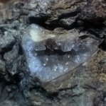 брахиопода с кристаллами кальцита