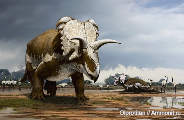 динозавры, реконструкция, Ceratopsia, Dinosaurs, neoceratopsia, Medusaceratops