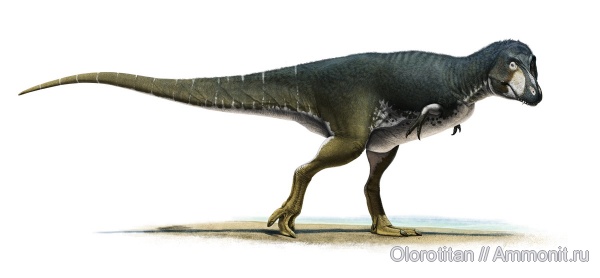 Tyrannosauridae, Utah, Lythronax, Wahweap