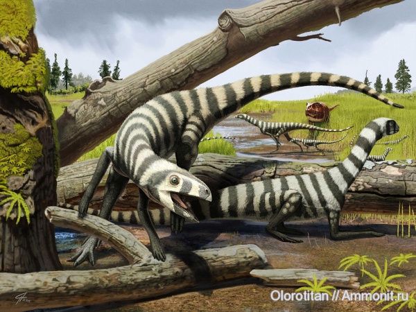 триас, Танзания, Asilisaurus, динозавроморфы