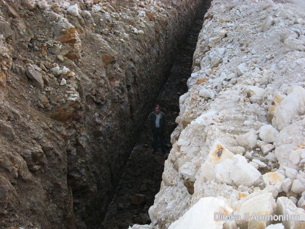 верхний мел, Афанасовский карьер, Upper Cretaceous