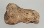 Карпальная кость  (pisiforme)  Ursus kudarensis Baryshnikov, 1985 .
