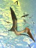 Как взлетали гигантские птерозавры?