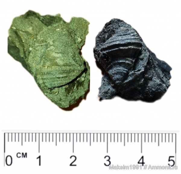 Михайлов, карьер 2025