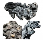 Окаменелое дерево с фрагментами белемнита