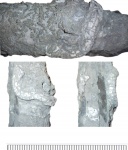 Помогите с определением, кольчатый червь?