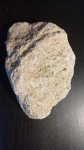 Камень с частицами морских лилий и иглами морских ежей