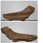 Фрагмент кости