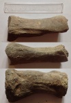 4-я плюсневая кость носорога с обломанным нижним концом