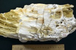 Древесина-3 (палеоцен)