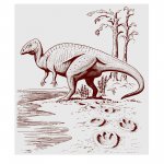 Iguanodon sp.
