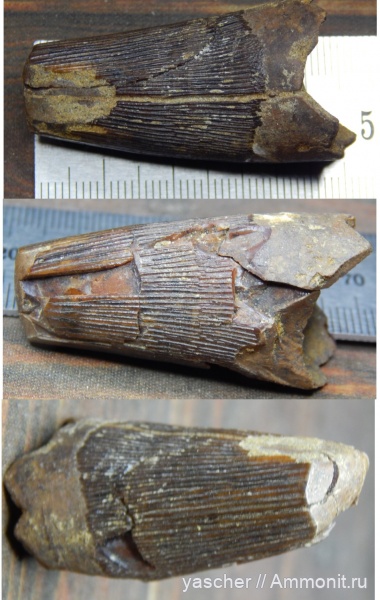 Тамбовский Коньяк