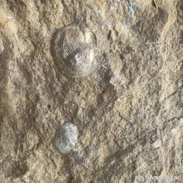 Домодедово, Московская область