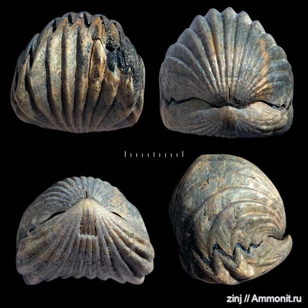 Карамышевская набережная, Москва