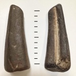 Зуб костной рыбы