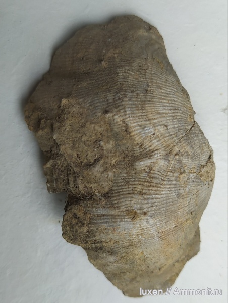 Шаньский карьер