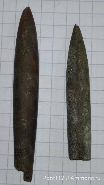 Верхоречье