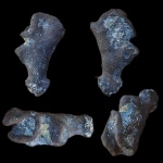 Губка на определение