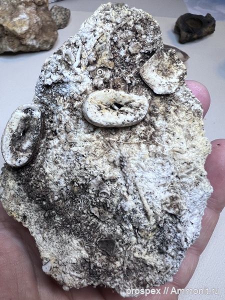 Мои находки