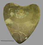 Кабошон на 14 февраля