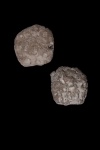 Tremabolites sp.