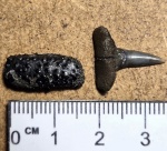 Ещё интересные находки из Мнёвников