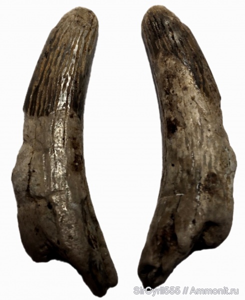 Мел Московской области