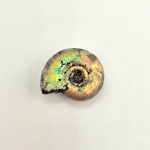 Открытие сезона (разминка в Филях)