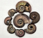 Марковская братва