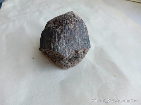 Кундур, гадрозавр