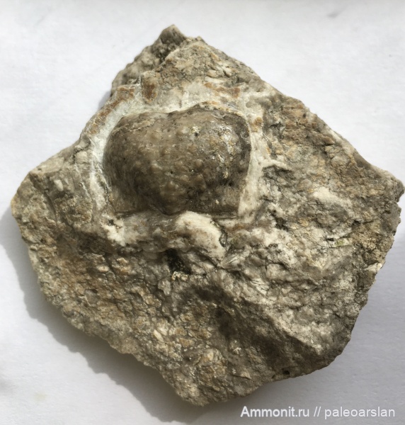 Стерлитамакские Шиханы.