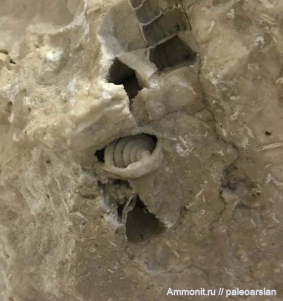 пермь, ручной аппарат