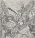 Коралловый риф Торатау.