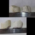 Бакулиты№4 Гродненские меловые карьеры