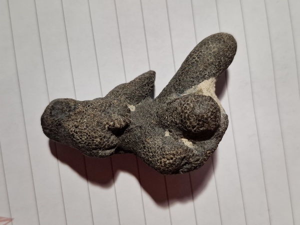 эоцен, фосфориты